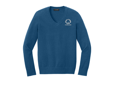 Port Authority Women's Easy Care V-Neck Sweater